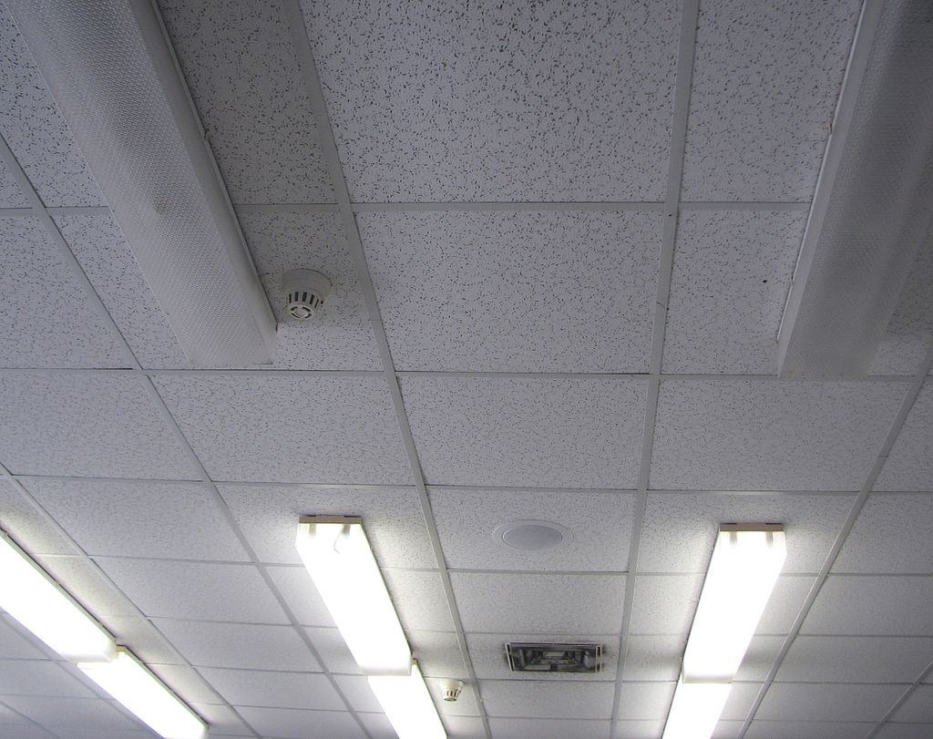 Suspended Ceiling Tiles in Office